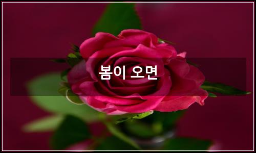 오늘의 이미지