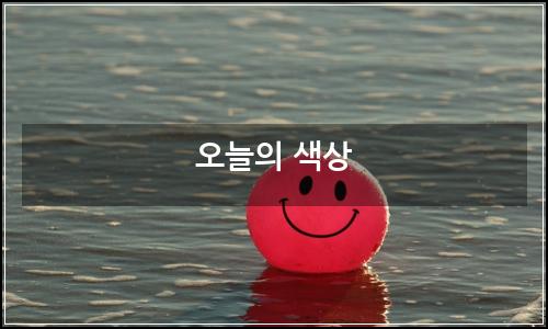 오늘의 이미지