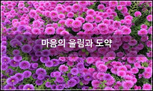 오늘의 이미지
