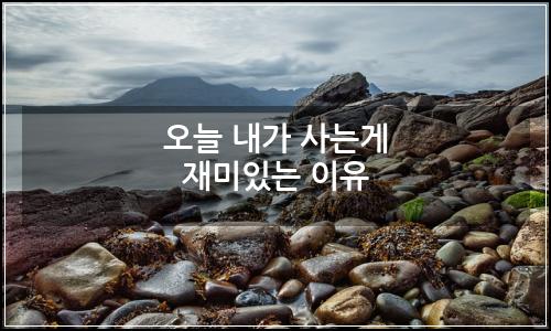 오늘의 이미지