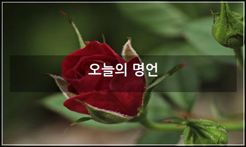 오늘의 이미지