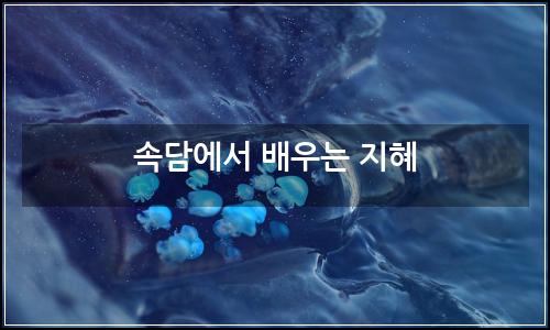 오늘의 이미지