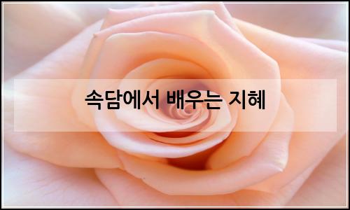 오늘의 이미지