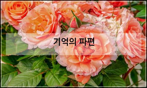 오늘의 이미지