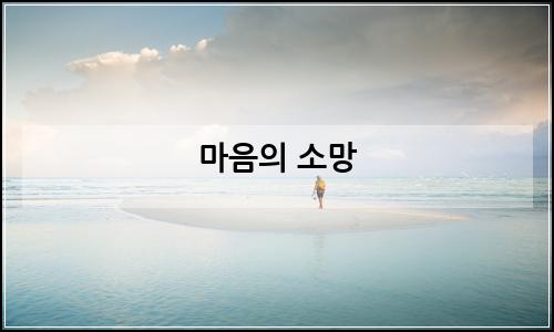오늘의 이미지