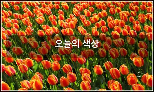 오늘의 이미지