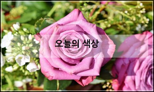 오늘의 이미지