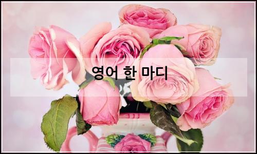 오늘의 이미지