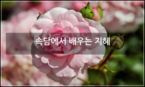 오늘의 이미지