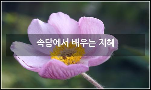 오늘의 이미지