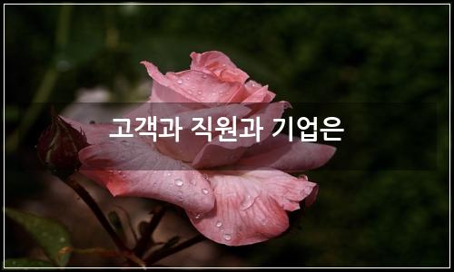 오늘의 이미지