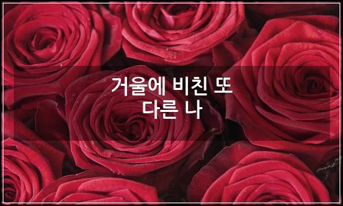 오늘의 이미지