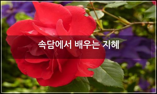 오늘의 이미지