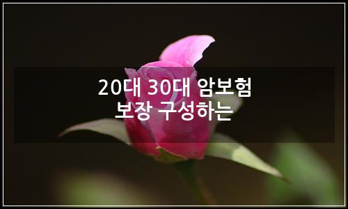 오늘의 이미지