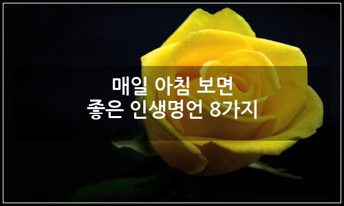 오늘의 이미지