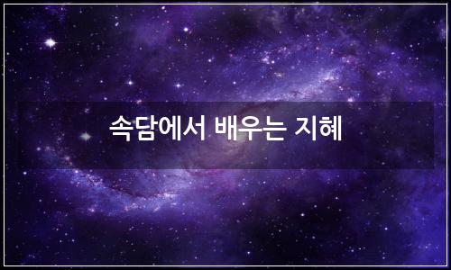 오늘의 이미지