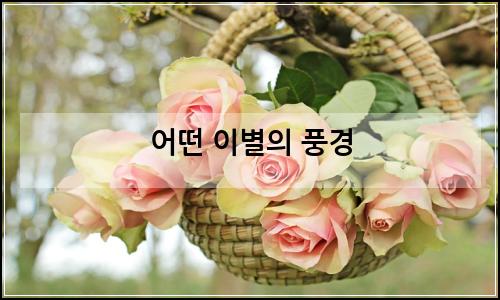 오늘의 이미지