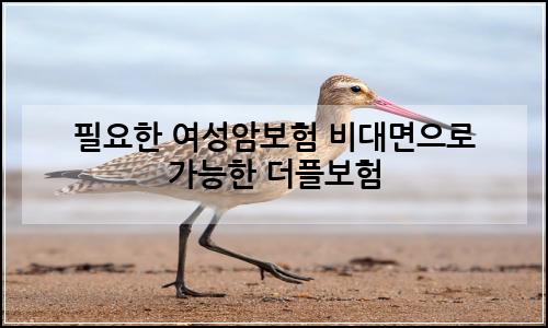 오늘의 이미지