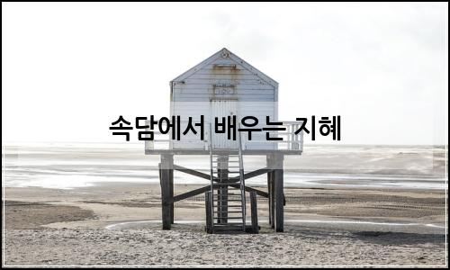 오늘의 이미지