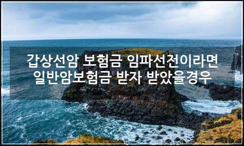 오늘의 이미지