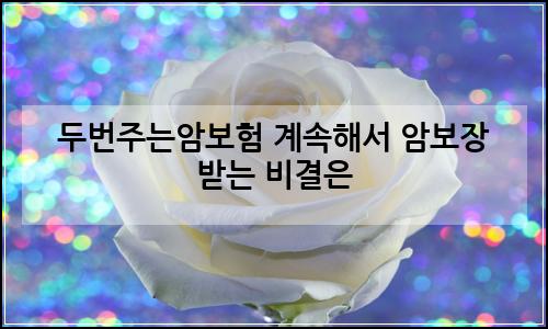 오늘의 이미지