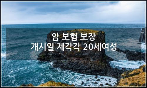 오늘의 이미지